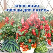 семена огород на балконе. Смотреть фото семена огород на балконе. Смотреть картинку семена огород на балконе. Картинка про семена огород на балконе. Фото семена огород на балконе