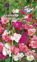Кларкия Спутница - купить с доставкой