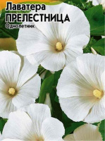 Лаватера Прелестница - купить с доставкой