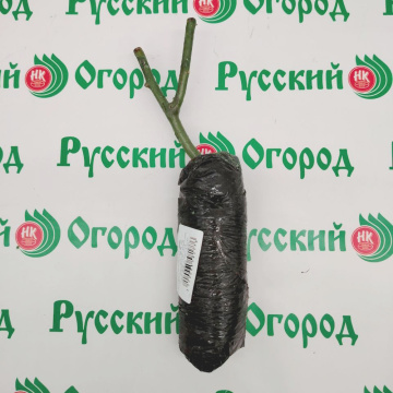 Стандарт поставки 3 Роза Розариум Ютерсен