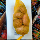 Гладиолус Троянский Конь