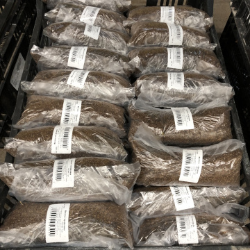 Стандарт поставки 1 Василистник Делавая