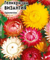 Гелихризум Византия, смесь - купить с доставкой