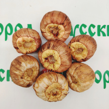 Стандарт поставки 11 Гладиолус Пинк