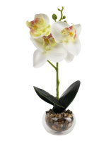 Декоративный цветок Белая Орхидея в кашпо из стекла - купить с доставкой