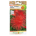 Ярко-красный