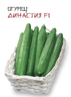 Огурец Династия F1 - купить с доставкой