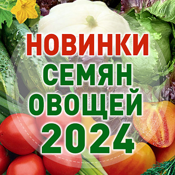 НОВИНКИ СЕМЯН ОВОЩЕЙ 2024