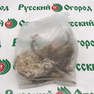 Стандарт поставки 1 Ирис сибирский Хэвинг Фан