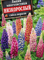 Люпин Низкорослый, смесь окрасок - купить с доставкой