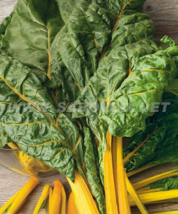 Мангольд Золотой веер