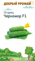 Огурец Черномор F1 - купить с доставкой