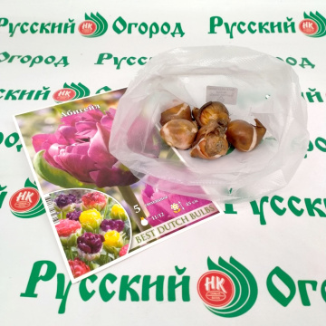 Стандарт поставки 4 Тюльпан Абигейл Стандарт поставки 4 Тюльпан Абигейл