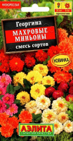Георгина Махровые миньоны, смесь сортов - купить с доставкой