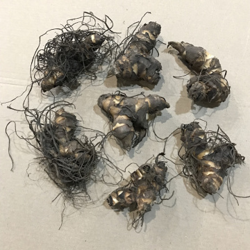 Стандарт поставки 2 Канна Вайоминг