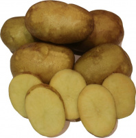 Картофель Ариэль - купить с доставкой