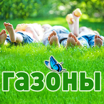 ГАЗОНЫ