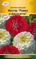 Цинния изящная Мастер Ромео и Джульетта - купить с доставкой