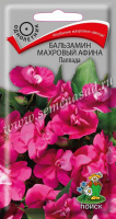 Бальзамин махровый Афина Паллада - купить с доставкой