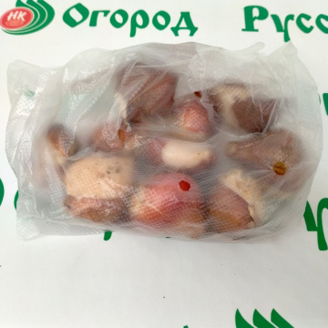 Стандарт поставки 5 Тюльпан Пол Шерер Стандарт поставки 5 Тюльпан Пол Шерер