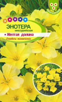 Энотера желтая долина миссурийская
