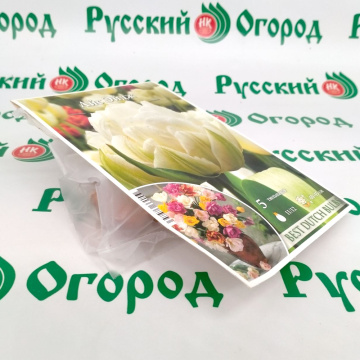 Стандарт поставки 5 Тюльпан Айс Эйдж