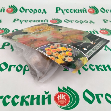 Стандарт поставки 1 Нарцисс Эдинбург