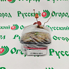 Голубика Норт Кантри