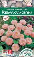 Маргаритка красивая Робелла Салмон пинк - купить с доставкой