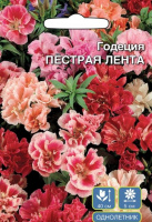 Годеция Пестрая Лента - купить с доставкой