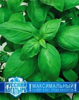 Базилик Русский гигант, зеленый  - купить с доставкой