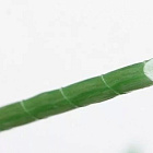 Опора для растений стеклопластиковая, 1 м Ø 10 мм