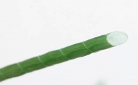 Опора для растений стеклопластиковая, 1 м Ø 10 мм - купить с доставкой