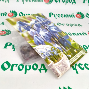 Стандарт поставки 4 Пролеска сибирская Лазурные проталины