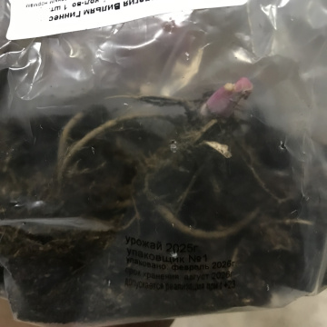 Стандарт поставки 2 Аквилегия Вильям Гиннес