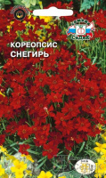 Кореопсис Снегирь - купить с доставкой