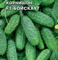 Огурец Бойскаут F1 - купить с доставкой