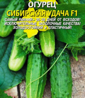 Огурец F1 Сибирская удача - купить с доставкой