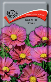 Космея Ксения