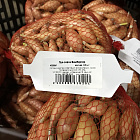 Лук-севок Бамбергер