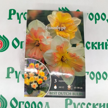 Стандарт поставки 2 Нарцисс Эдинбург
