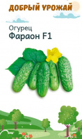 Огурец Фараон F1 - купить с доставкой