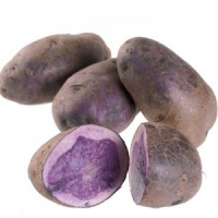 Картофель Салблю (фиолетовый) - купить с доставкой