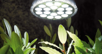 Лампа LED для растений Nelson Garden - купить с доставкой