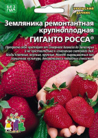 Земляника Гиганто Росса - ремонтантная - купить с доставкой