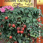 Темно-красный