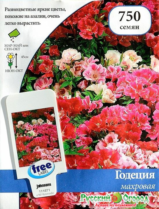 Семена Годеция Махровая, смесь окрасок: описание сорта, фото - купить с ...