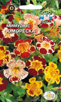 Мимулюс Юмореска - купить с доставкой