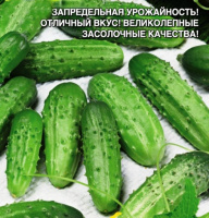 Огурец Брюнет F1 - купить с доставкой