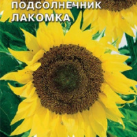 Подсолнечник Лакомка - купить с доставкой